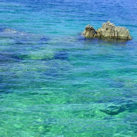 Lägenhet Haus Ljubica Ražanac